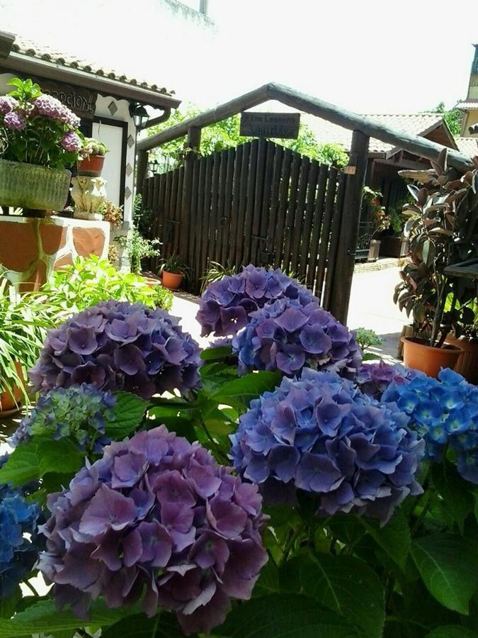 Cabanas Valle Verde Moya  Екстериор снимка